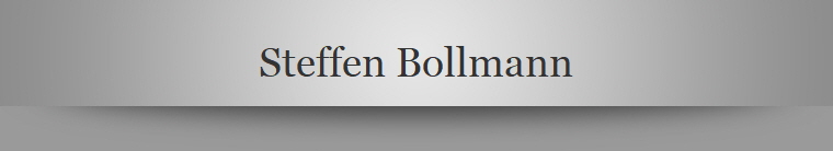 Steffen Bollmann